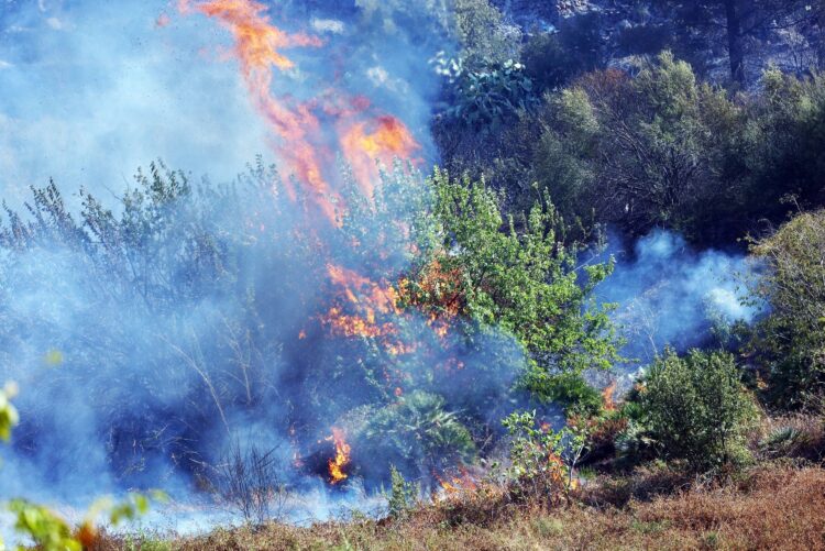 Gozdni požari na Siciliji