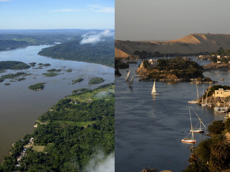 Amazonka, Nil