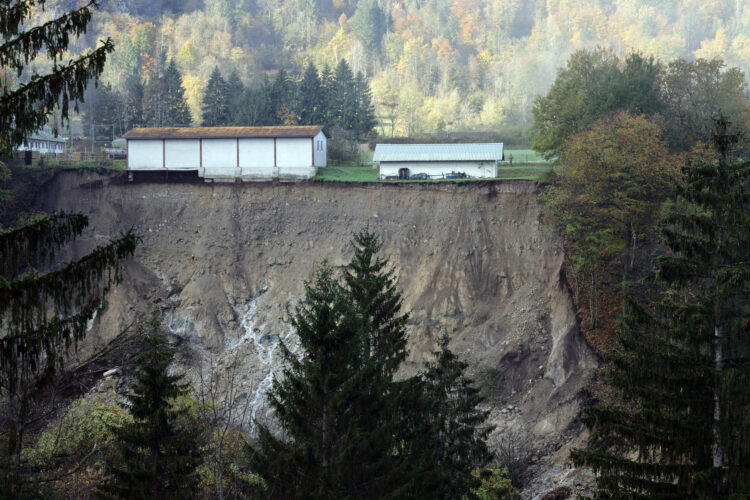 Plaz v Bohinjski beli