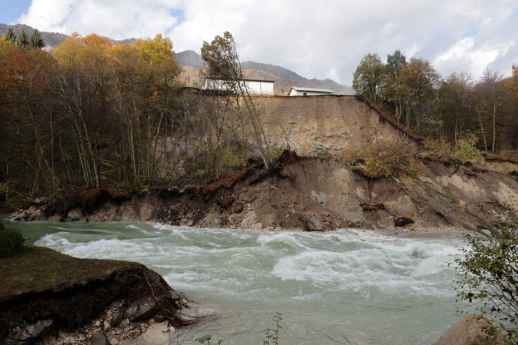 Plaz v Bohinjski beli