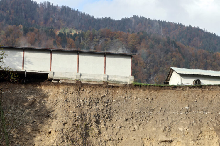 Plaz v Bohinjski beli