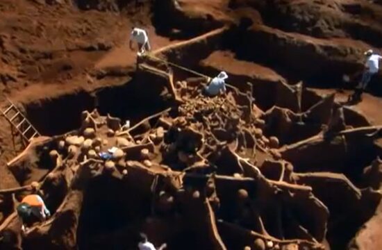 mravljišče, izkopavanje