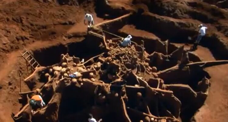 mravljišče, izkopavanje