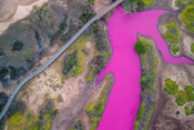 rožnato jezero na havajih