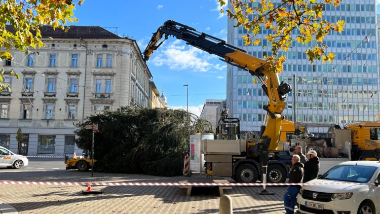 Postavljanje novoletne jelke v centru Ljubljane