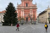 Božično smreko so postavili na Prešernovem trgu