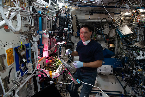 Frank Rubio, ISS, Mednarodna vesoljska postaja,, paradižnik