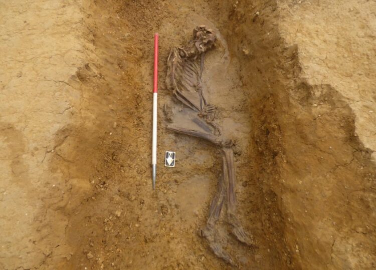 okostje, arheološka najdba, Velika Britanija