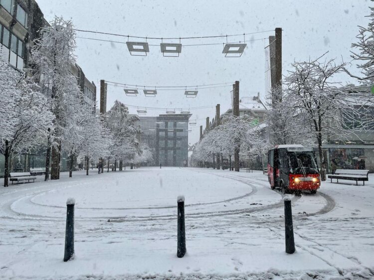Cesta in sneg