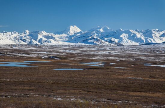 Permafrost na Aljaski