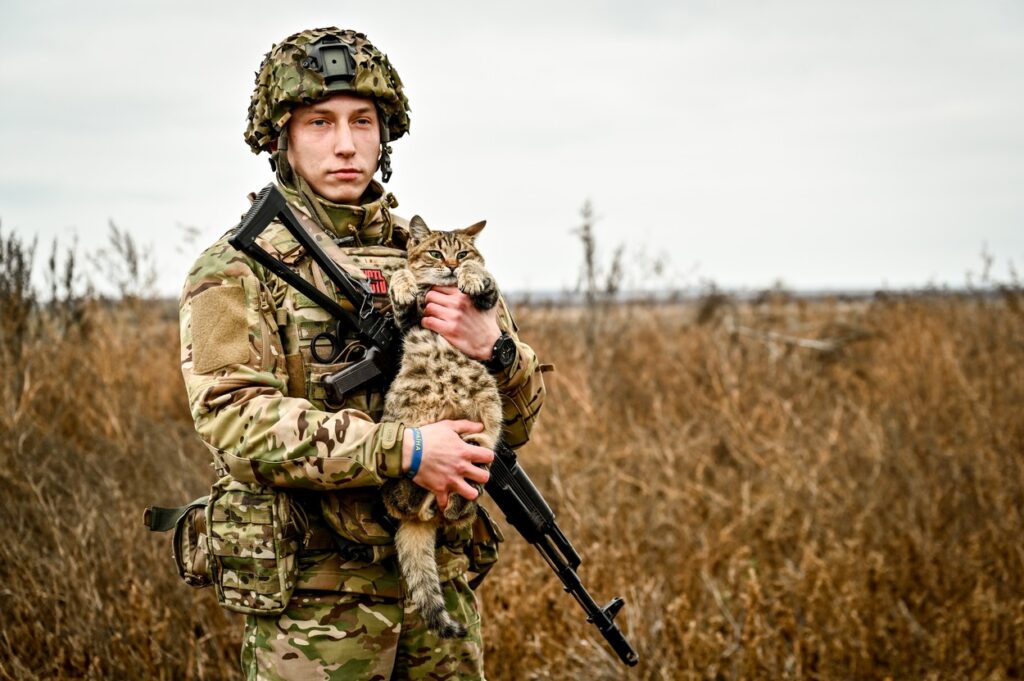 Vojak z mačko v Zaporožju