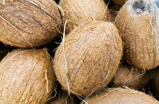 kokosov oreh