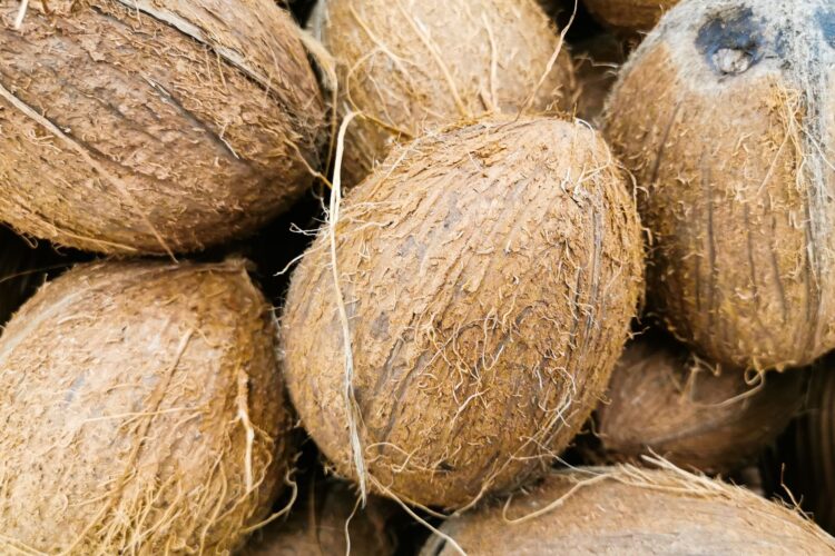 kokosov oreh