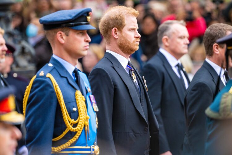Princ Harry in princ William