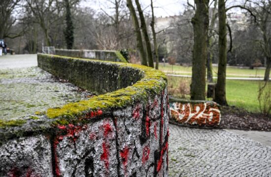 V berlinskem parku našli mrtvega štirimetrskega pitona