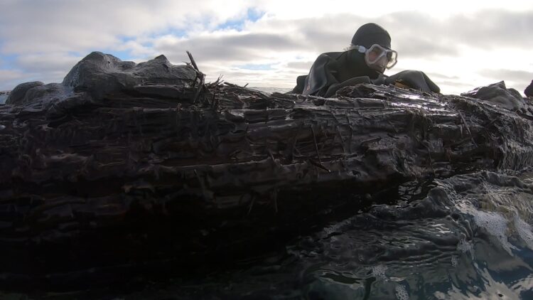 razbitine ladje blizu kanadskega mesta Cape Ray