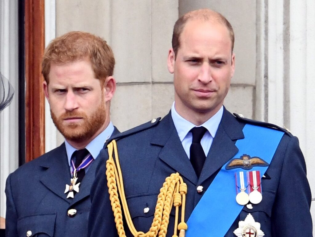 Princ Harry in princ William