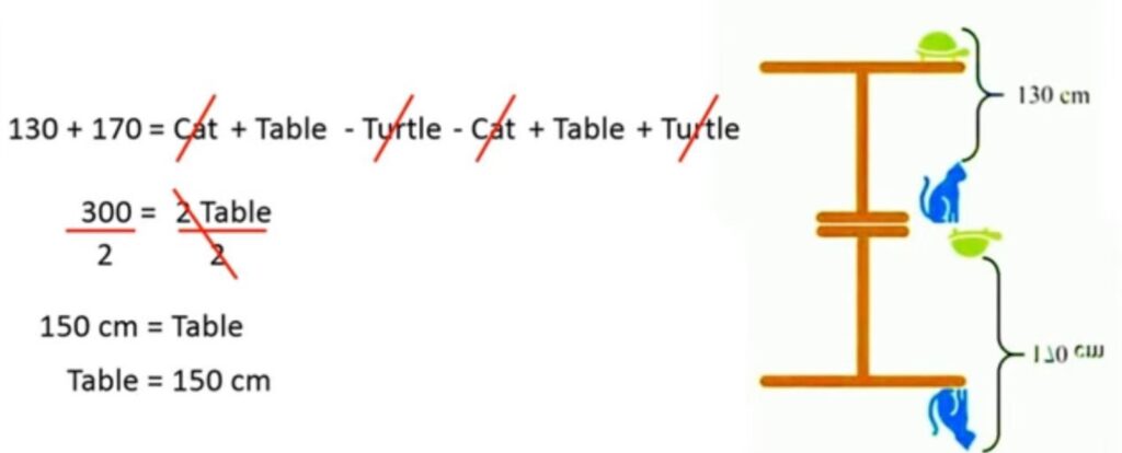 uganka, mačka, želva, miza, matematika