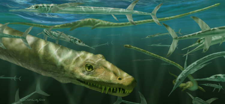 Dinocephalosaurus orientalis plava v vodi