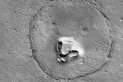 podoba medveda na Marsu