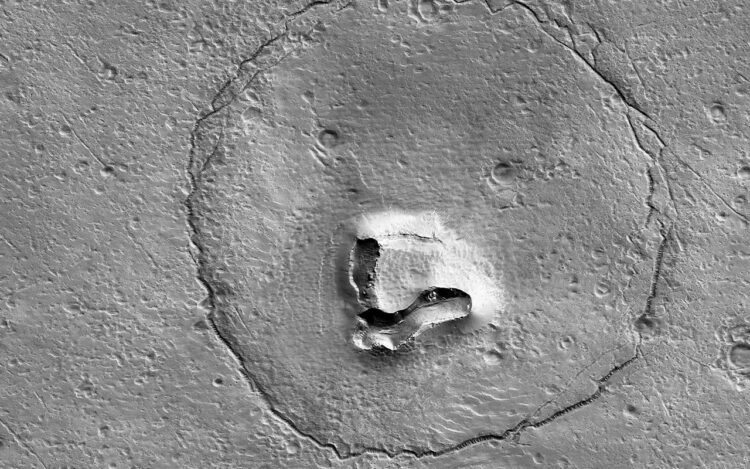 podoba medveda na Marsu