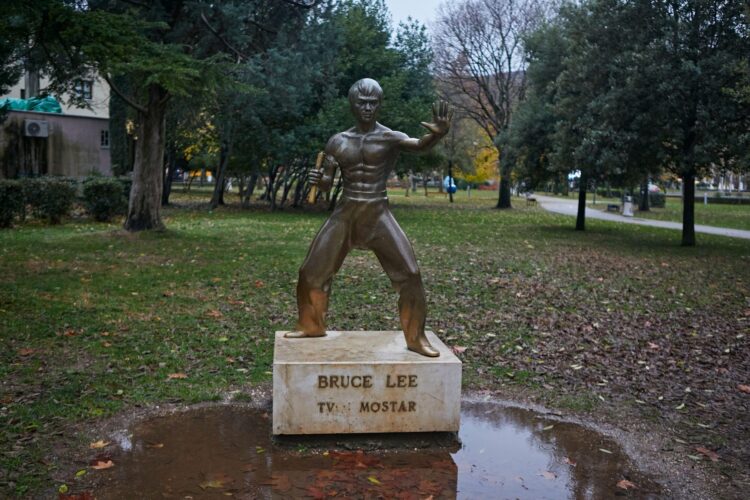 Kip Brucea Leeja