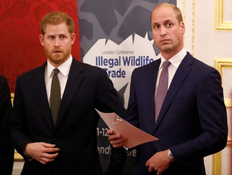 valižanski princ William in princ Harry vojvoda Susseški,