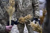 ukrajinsko žito