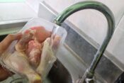 pranje piščančjih beder pod tekočo vodo