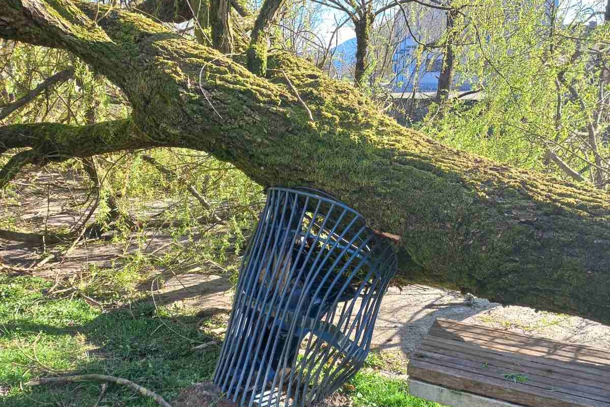 Prizori razdejanja, ki ga je po Sloveniji pustila sinočnja fronta (FOTO)