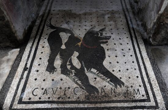 Mozaik s psom v vili v Pompejih z napisom "Pozor, pes"