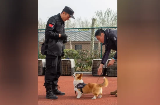 Kitajska policija ima v svojih vrstah novega člana