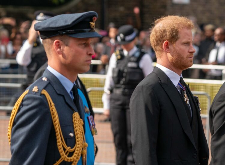 Princ William in princ Harry