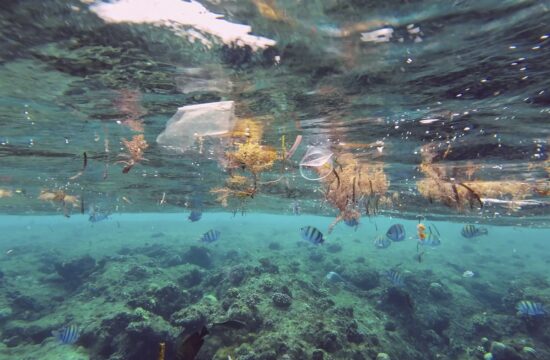 Plastične smeti med ribami v Rdečem morju v Egiptu