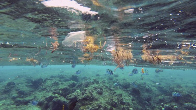 Plastične smeti med ribami v Rdečem morju v Egiptu