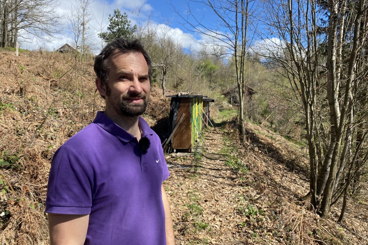 “Pričakujem precej radikalno redukcijo čebelarstva”