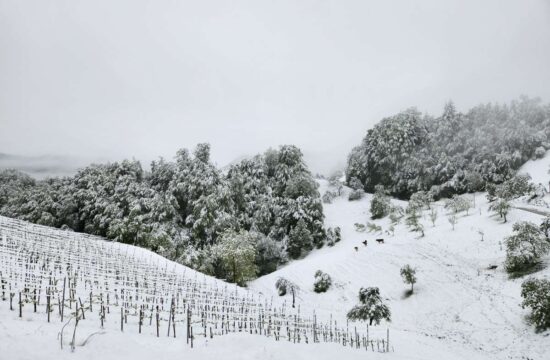 Aprilski sneg v Žetalah