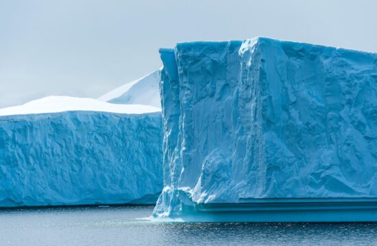 Osupljiv prizor z Antarktike: “Ne morem verjeti, da jim je to uspelo ujeti”