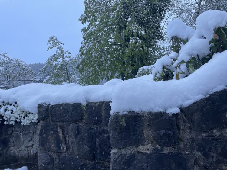 Snežilo je v Šentjoštu nad Horjulom