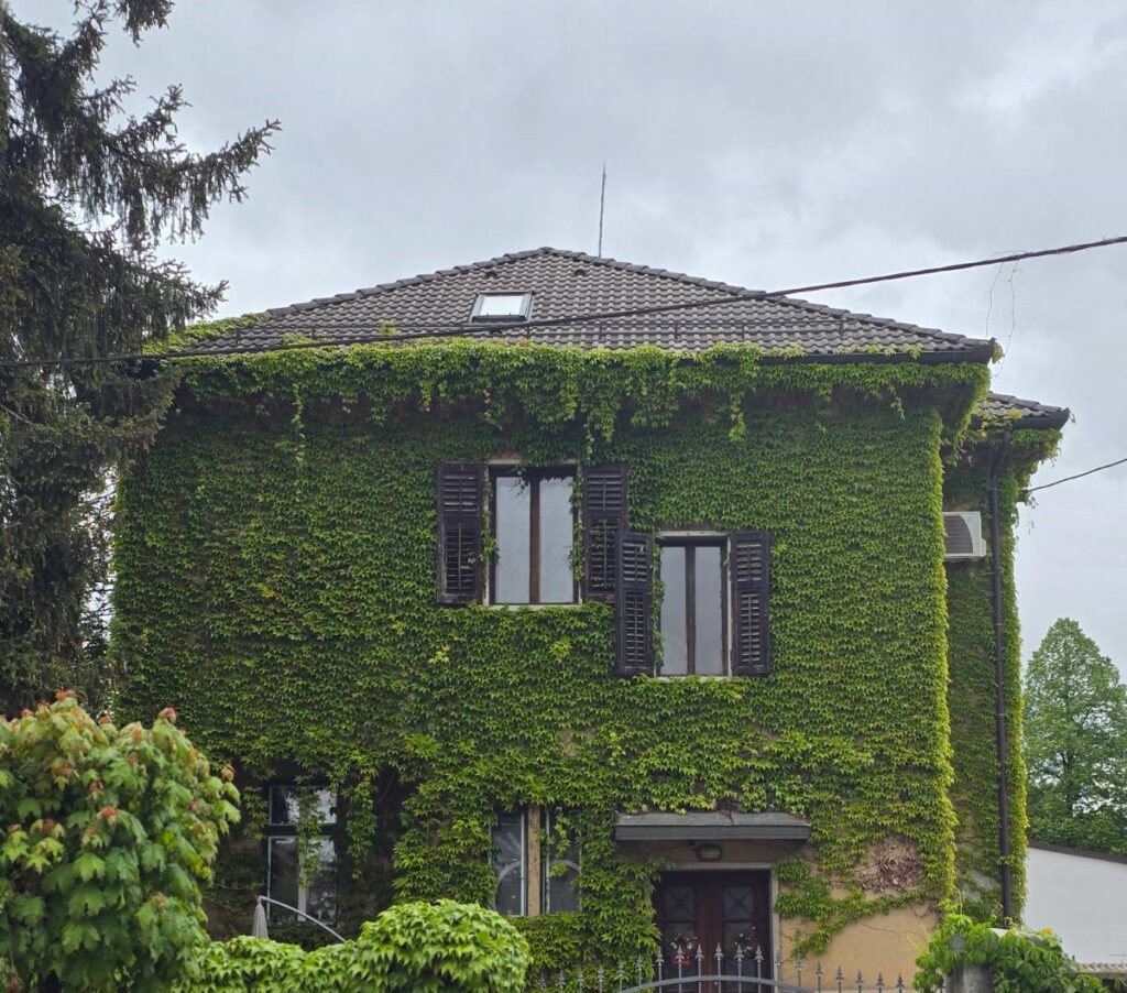 zelena fasada 