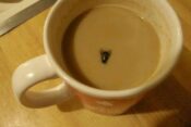 muha v skodelici kavce