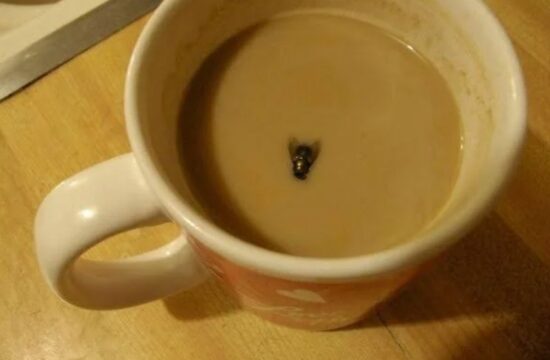 muha v skodelici kavce