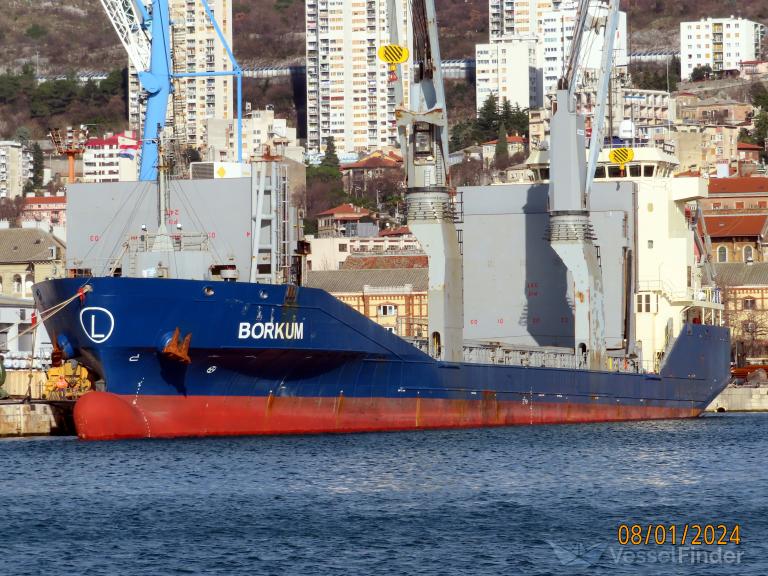 Tovorna ladja Bokrum v Reškem pristanišču januarja letos
