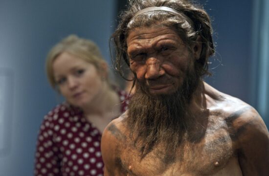 obiskovalka razstave o neandertalcih v londonskem naravoslovnem muzeju