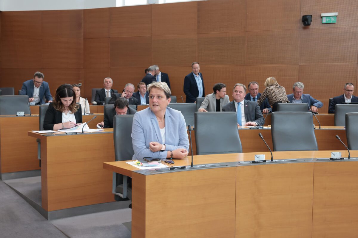 SDS zahteva sklic izredne seje: “Zdravstvo razpada, priča smo stavkovnemu valu”