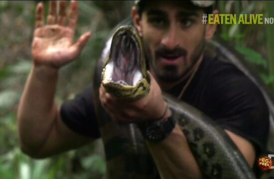 Paul Rosolie, anakonda, Eaten Alive, Discovery, dokumentarec, Živ požrt
