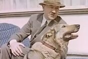 Adolf Hitler, Blondi, pes