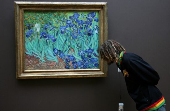 Van Gogh, Irisi