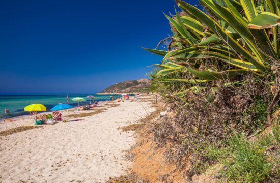 plaža blizu pulja