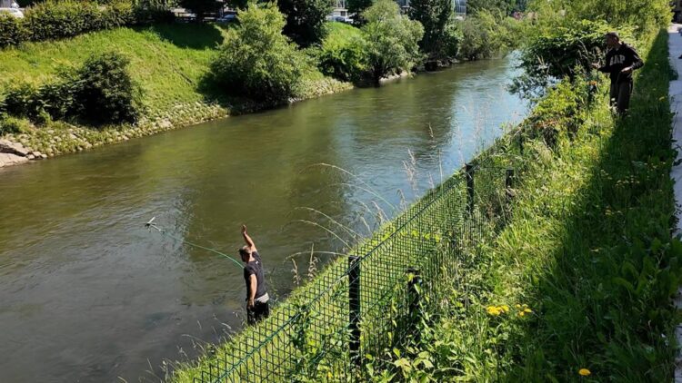 Boltov skiro je neznanec vrgel v Ljubljanico.